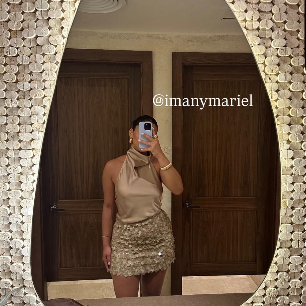 Zara Sequin Skirt